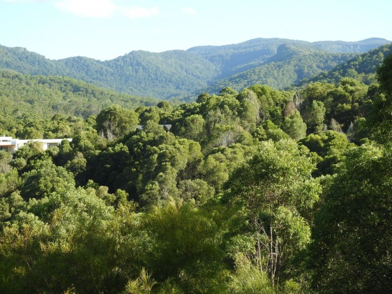 545 Austinville Road, Austinville QLD 4213