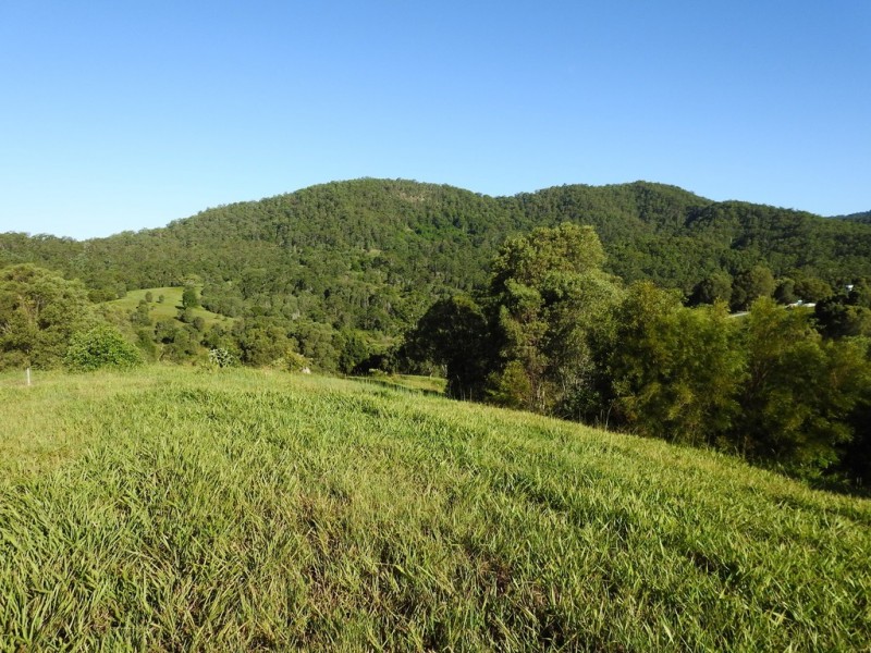 545 Austinville Road, Austinville QLD 4213