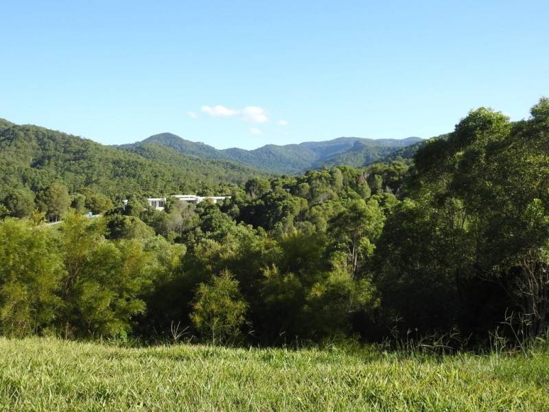 545 Austinville Road, Austinville QLD 4213