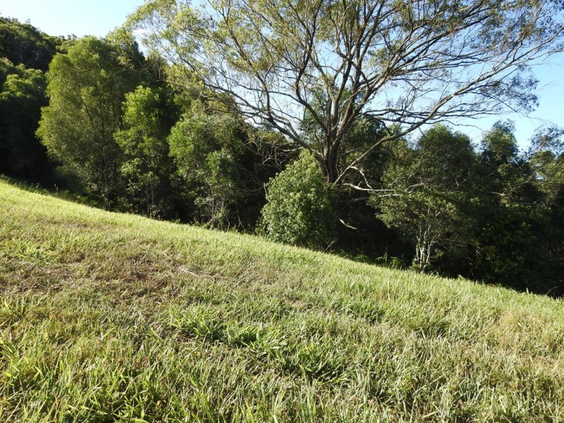 545 Austinville Road, Austinville QLD 4213