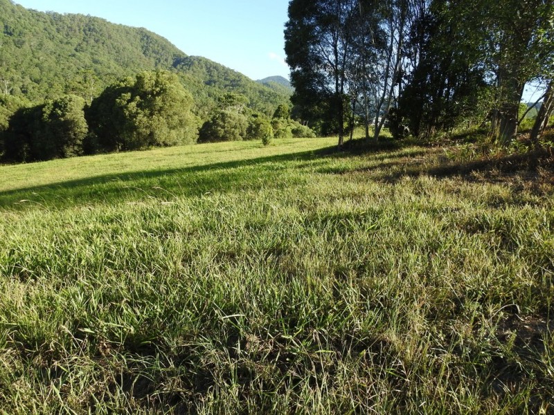 545 Austinville Road, Austinville QLD 4213