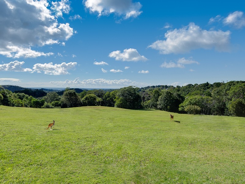 100 Brocks Road, Currumbin Valley QLD 4223