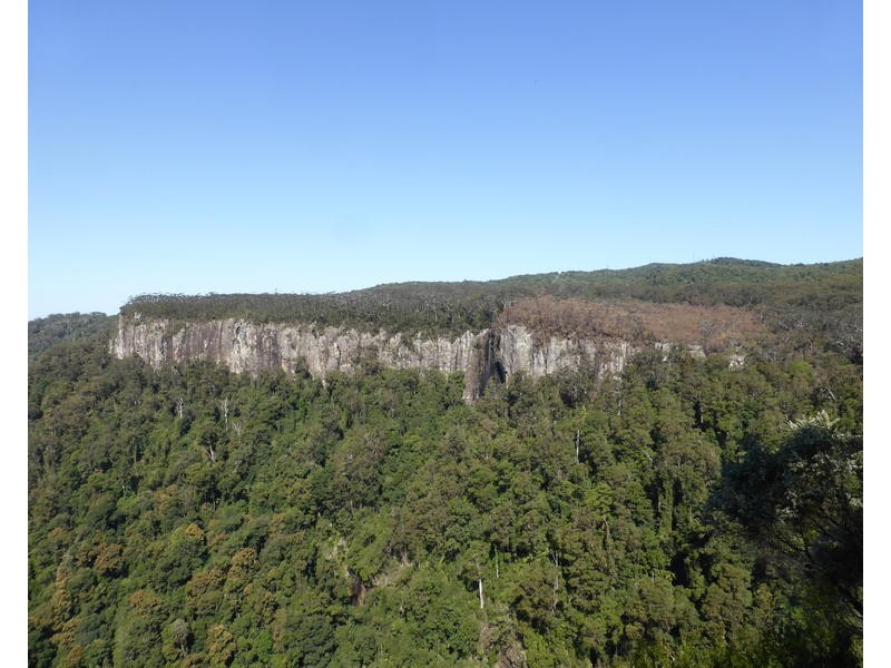 Lot 13 1932 Springbrook Road, Springbrook QLD 4213
