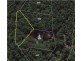 Lot 12 /1932 Springbrook Road, Springbrook QLD 4213