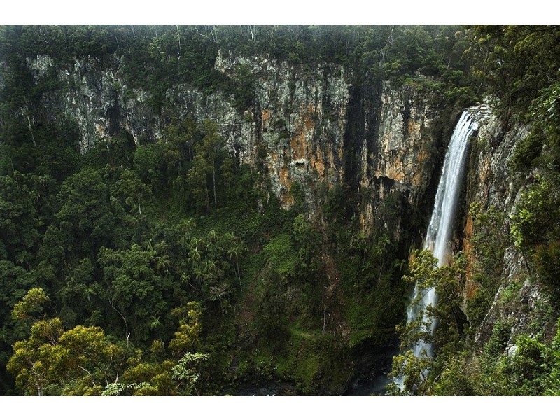 Lot 12 /1932 Springbrook Road, Springbrook QLD 4213