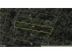 2195 Springbrook Road, Springbrook QLD 4213