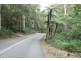 2195 Springbrook Road, Springbrook QLD 4213