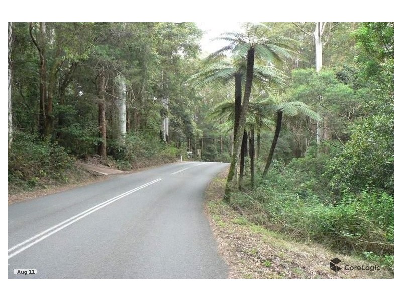 2195 Springbrook Road, Springbrook QLD 4213