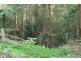 2195 Springbrook Road, Springbrook QLD 4213