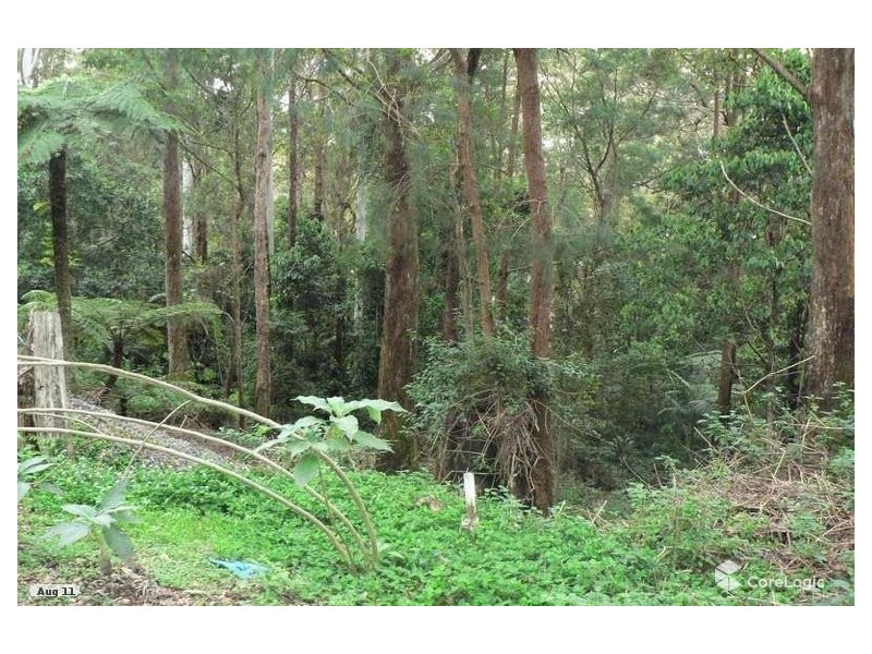 2195 Springbrook Road, Springbrook QLD 4213