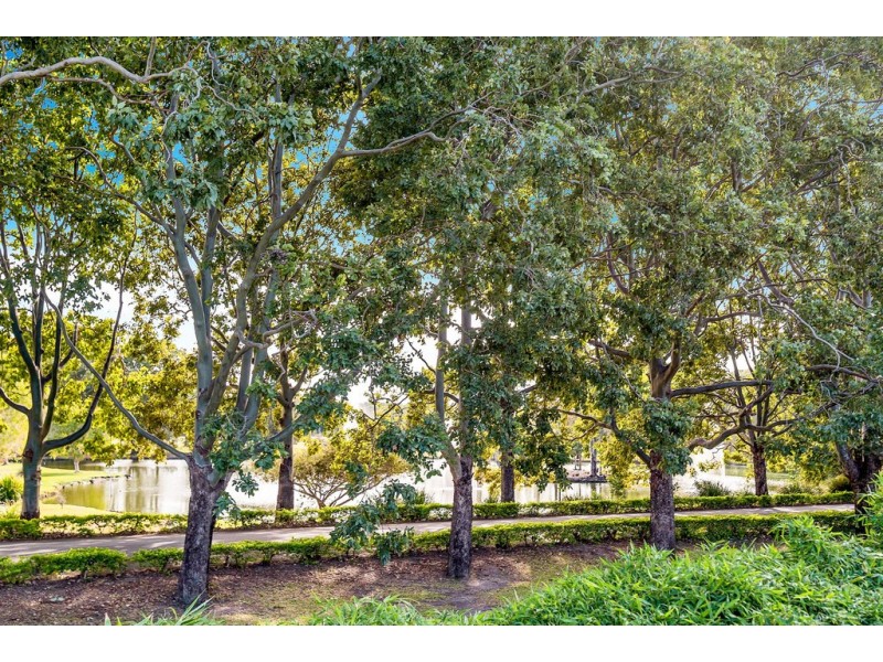 7 Whitehead Drive, Burleigh Waters QLD 4220