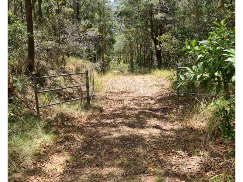 1806 Gold Coast Springbrook Road, Springbrook QLD 4213