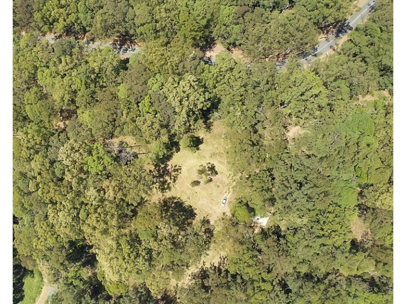 1806 Gold Coast Springbrook Road, Springbrook QLD 4213