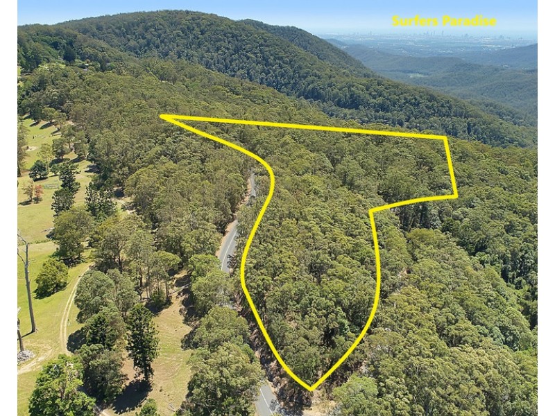 1806 Gold Coast Springbrook Road, Springbrook QLD 4213