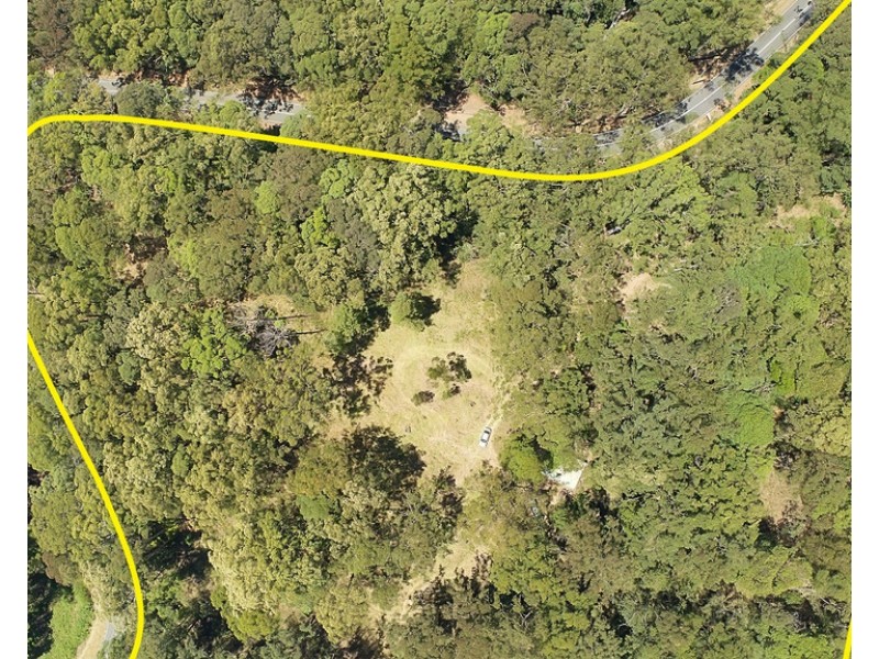 1806 Gold Coast Springbrook Road, Springbrook QLD 4213