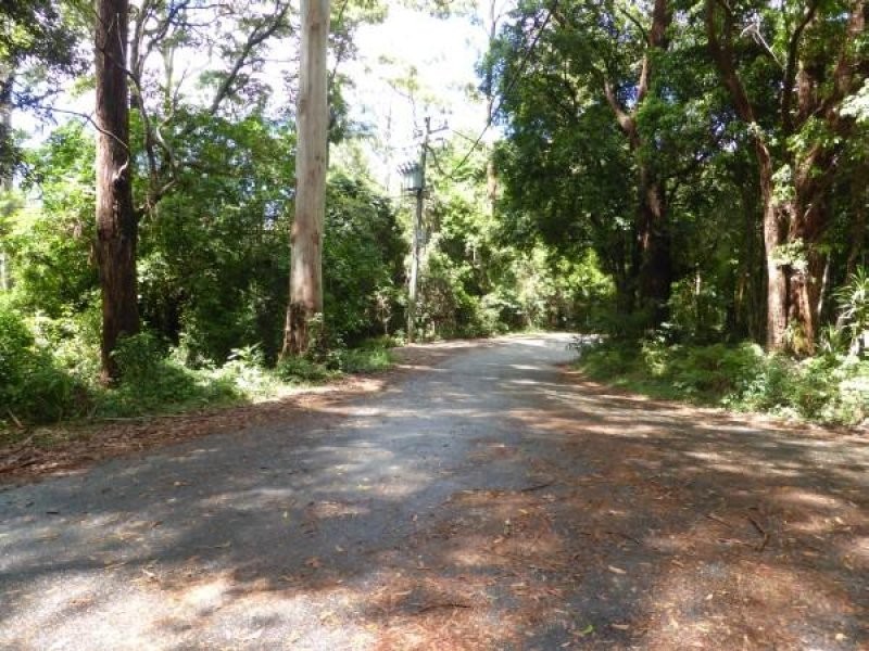 1 Mimosa Road, Springbrook QLD 4213