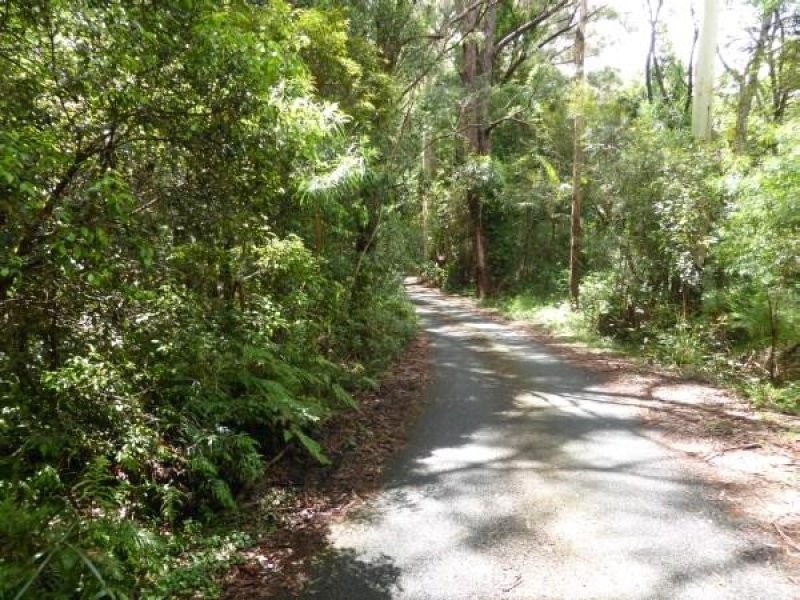 1 Mimosa Road, Springbrook QLD 4213