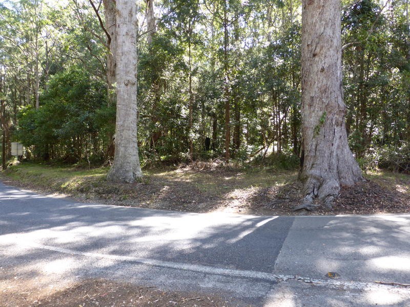 1932 Springbrook Road, Springbrook QLD 4213