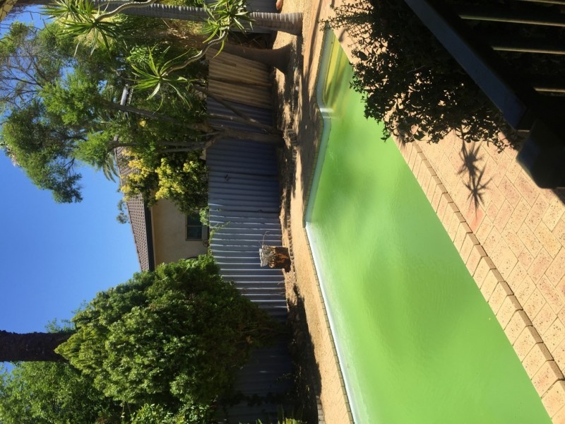 21 Apsley Road, Willetton WA 6155