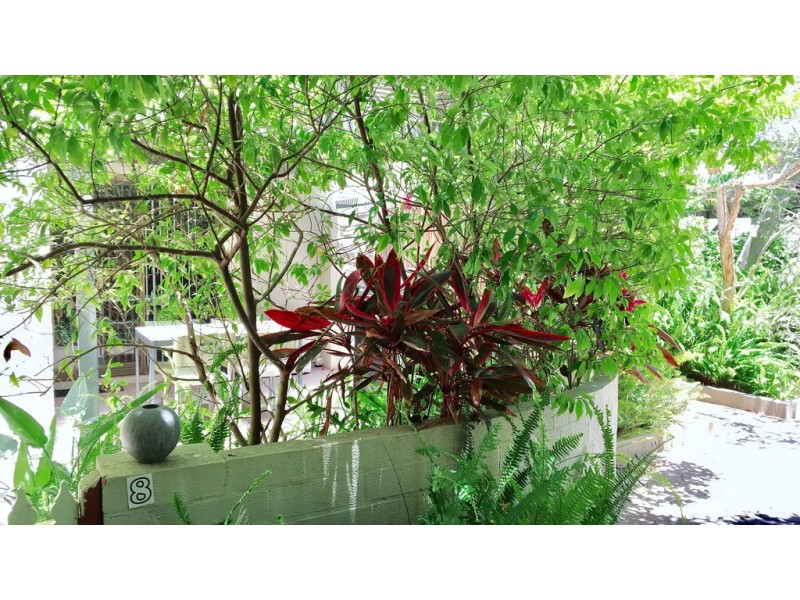 8/55 Elizabeth Street, South Perth WA 6151