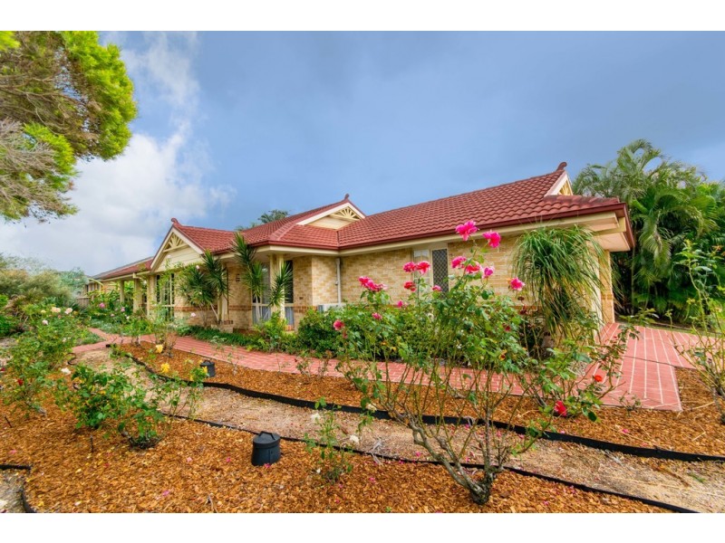 3 Peppertree Street, Warner QLD 4500
