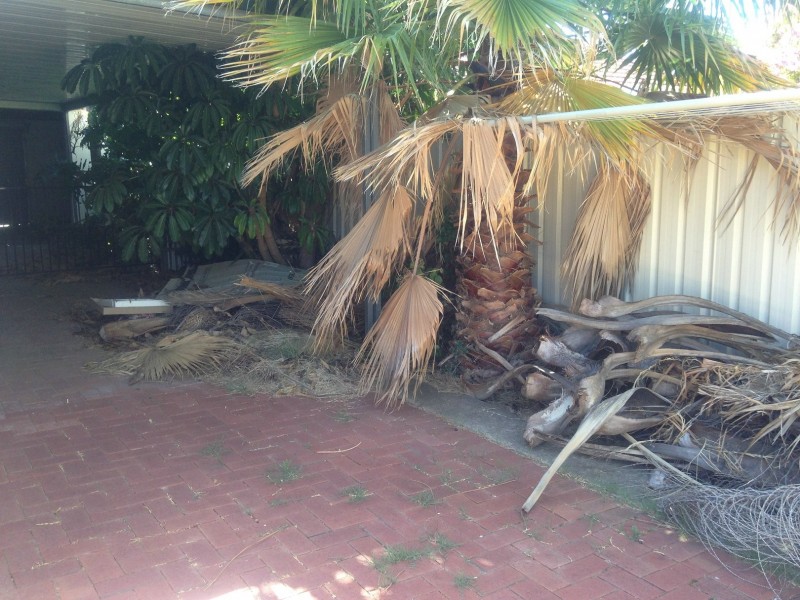 47 Daly Street, Kurralta Park SA 5037
