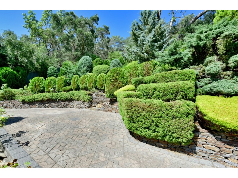22 Wyfield Street, Wattle Park SA 5066