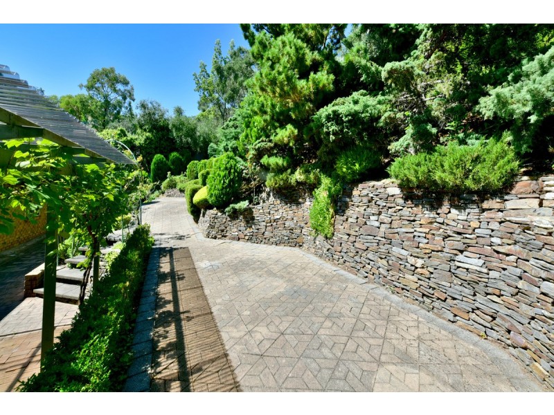 22 Wyfield Street, Wattle Park SA 5066