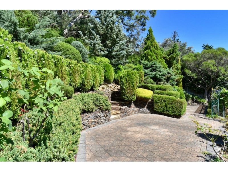 22 Wyfield Street, Wattle Park SA 5066
