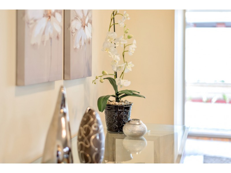 9 Morphett Road, Camden Park SA 5038