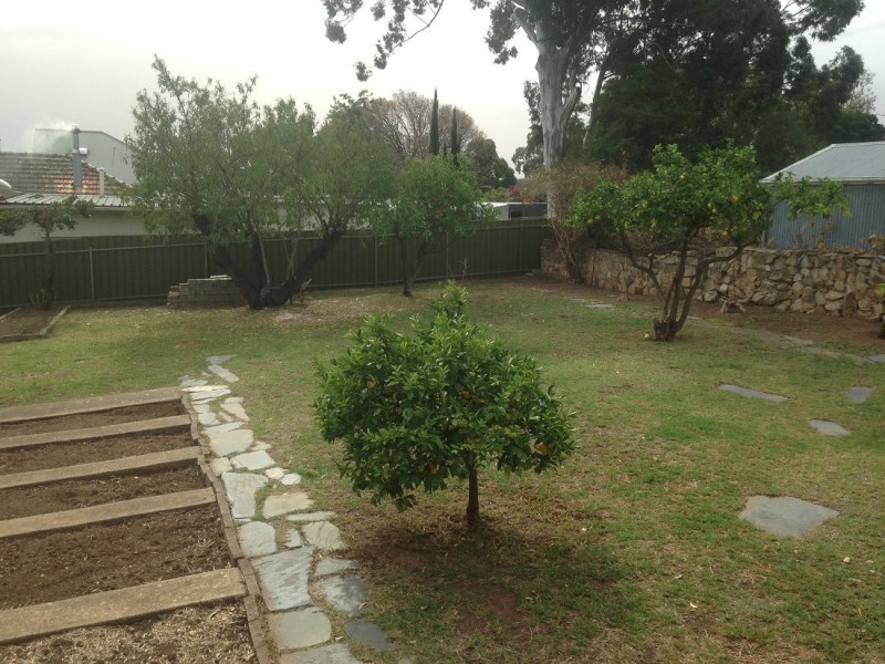 15 Romalo Ave, Magill SA 5072