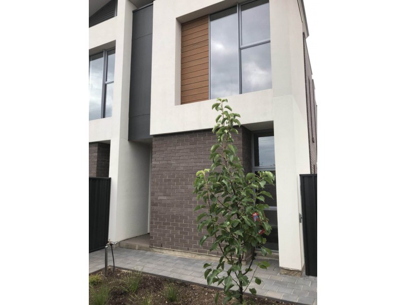 9/817 Marion Road, Mitchell Park SA 5043