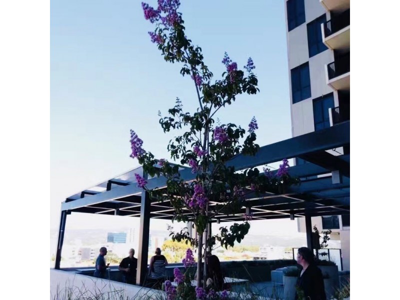 103/150 Wright, Adelaide SA 5000