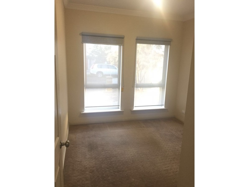 36 Hallett Ave, Tranmere SA 5073