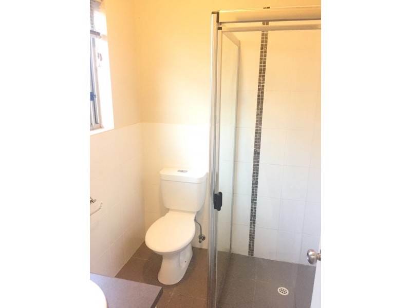36 Hallett Ave, Tranmere SA 5073