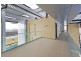 1204/281 Gouger Street, Adelaide SA 5000