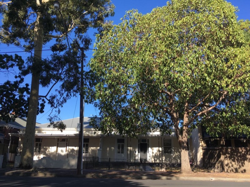 73 Palmerston Rd, Unley SA 5061