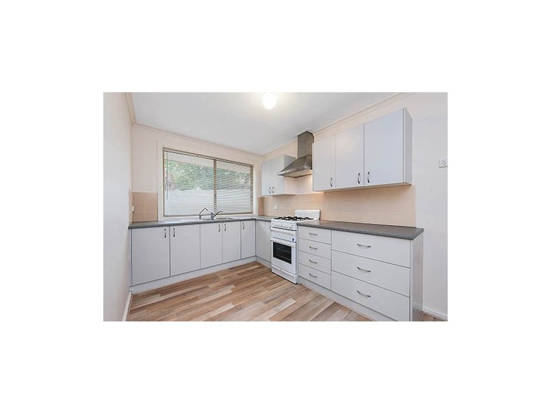 20 Roclin Ave, Newton SA 5074