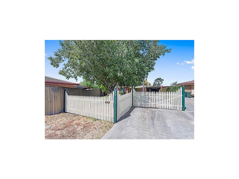 20 Roclin Ave, Newton SA 5074