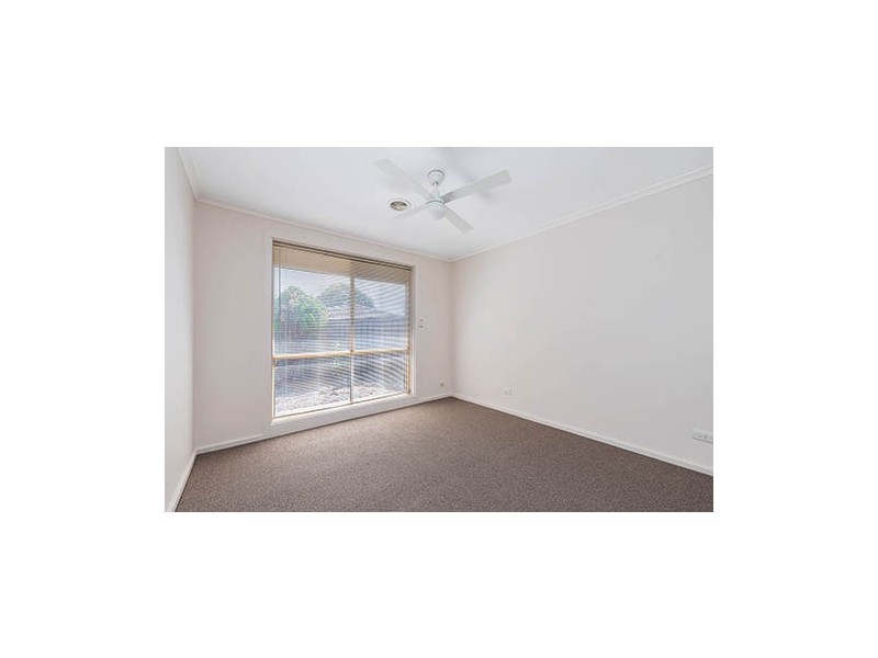 20 Roclin Ave, Newton SA 5074