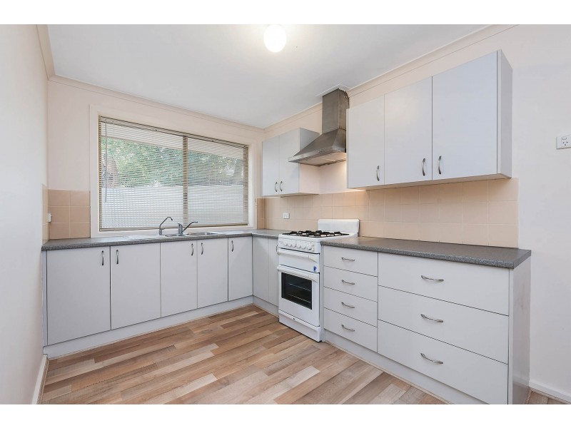 20 Roclin Avenue, Newton SA 5074