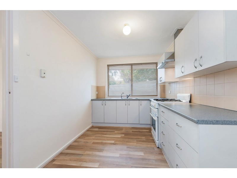 20 Roclin Avenue, Newton SA 5074