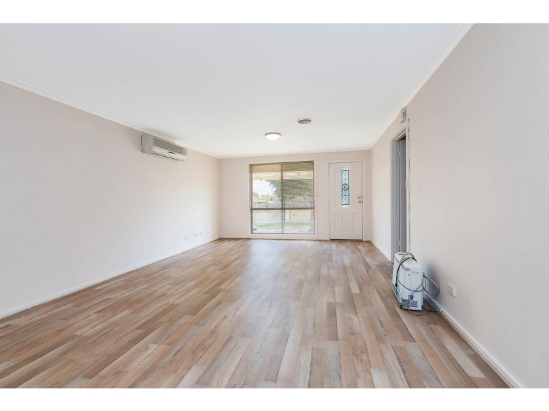 20 Roclin Avenue, Newton SA 5074