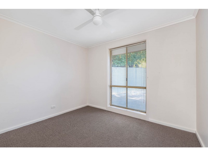 20 Roclin Avenue, Newton SA 5074