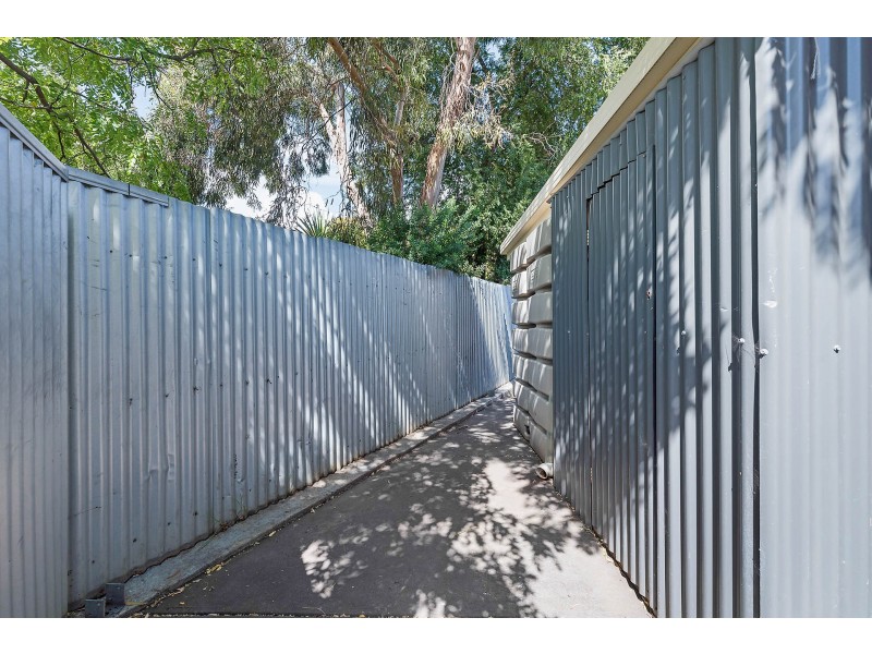 20 Roclin Avenue, Newton SA 5074