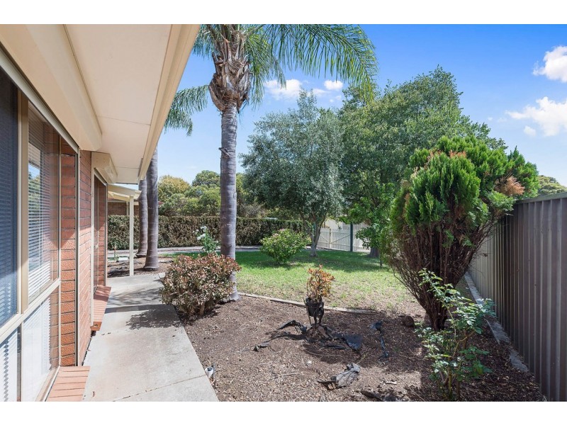 20 Roclin Avenue, Newton SA 5074