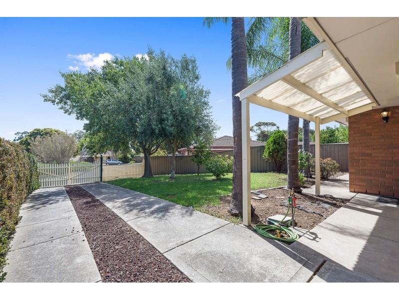 20 Roclin Avenue, Newton SA 5074