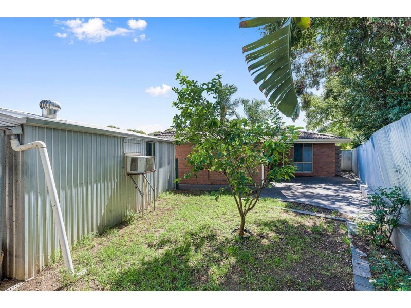 20 Roclin Avenue, Newton SA 5074