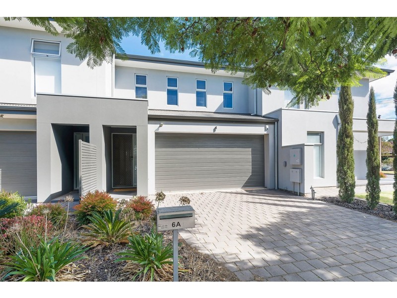 6A Jacaranda Grove, Oaklands Park SA 5046