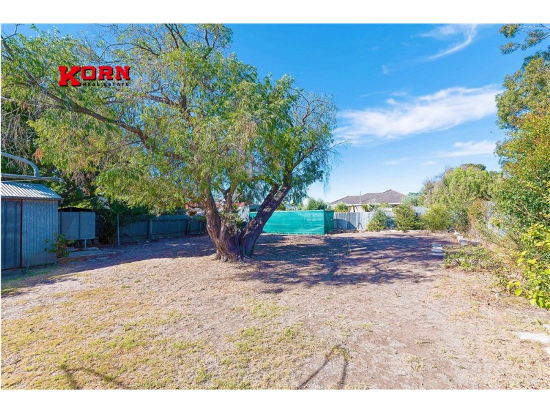 11 Don Terrace, Morphettville SA 5043